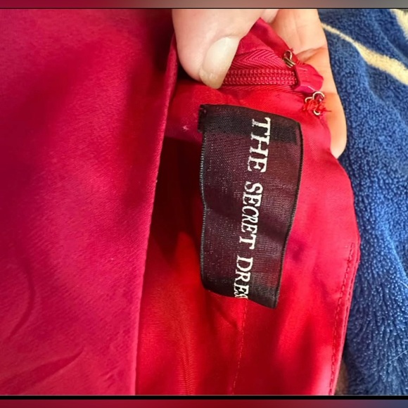 Formal Dress by The Secret Dress size 16 - Picture 6 of 10